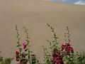 Chine - 0190